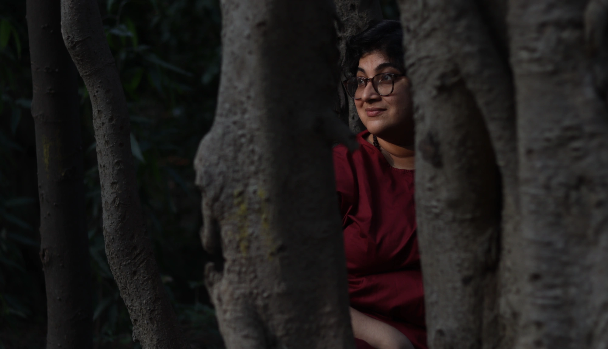 A person in red sits partially hidden among the thick trunks of clustered trees, their face turned toward the light breaking through the canopy.